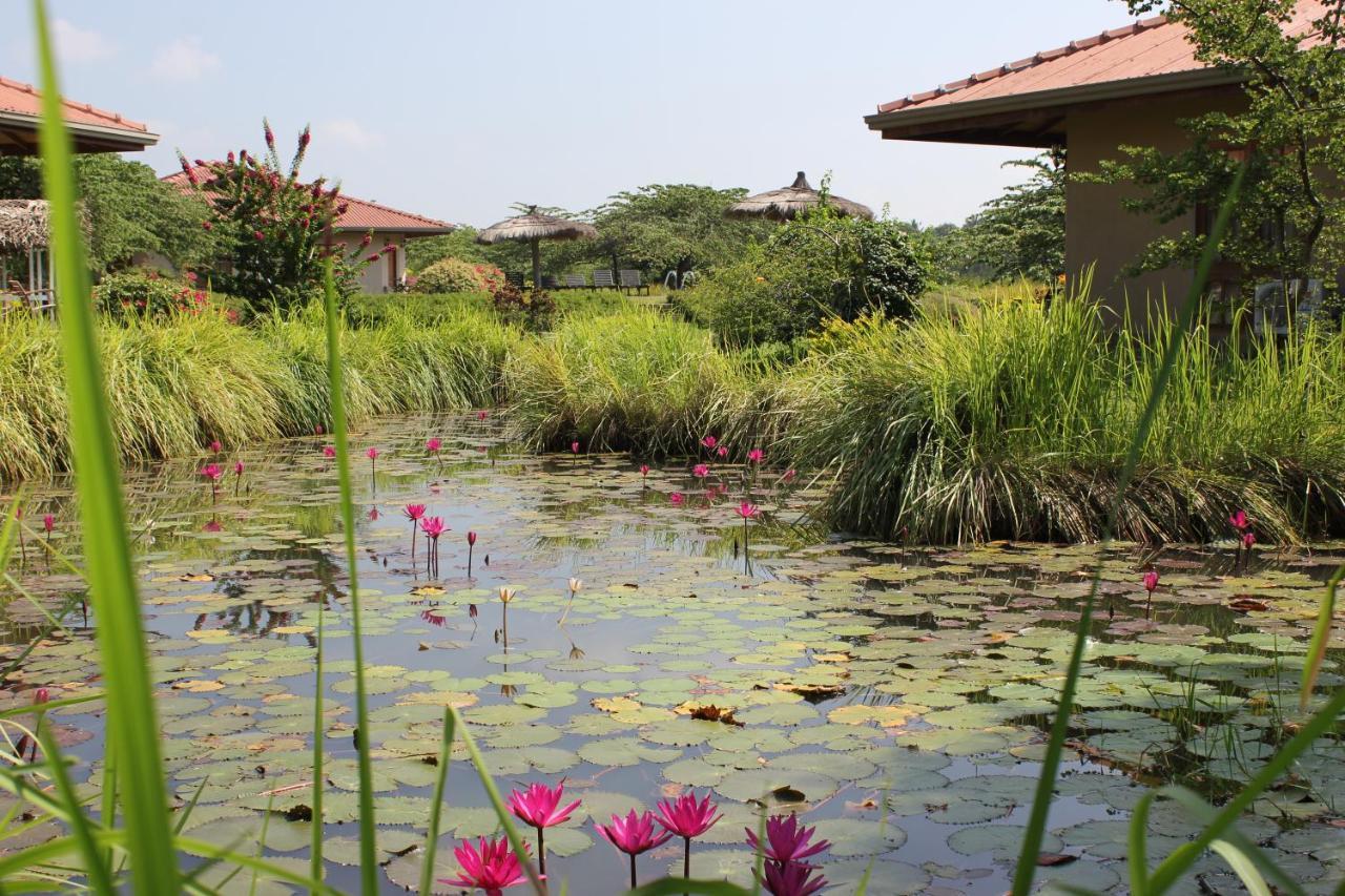 טיסמהרמה Hibiscus Garden Hotel מראה חיצוני תמונה