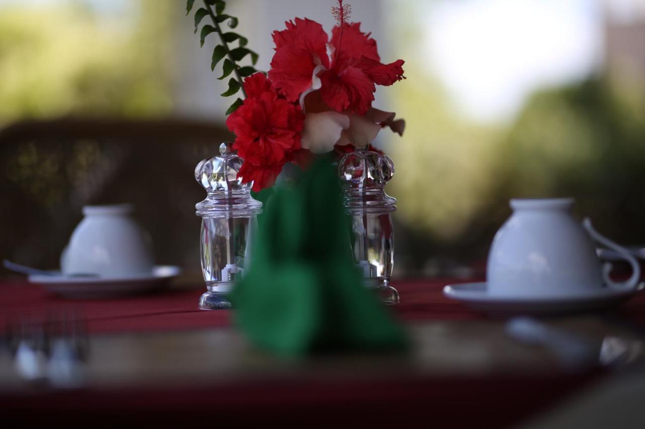 טיסמהרמה Hibiscus Garden Hotel מראה חיצוני תמונה